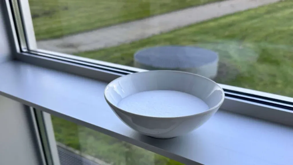 Überraschender Haushalts-Trick: Mit einer Salzschale gegen Winterfeuchte